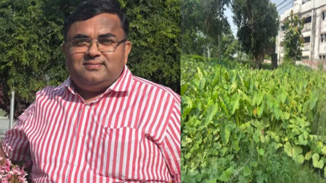 Barabanki News : सरकारी आवास में लहलहाई हरियाली, एसडीएम अनुराग सिंह बने जैविक खेती के ब्रांड एंबेसडर