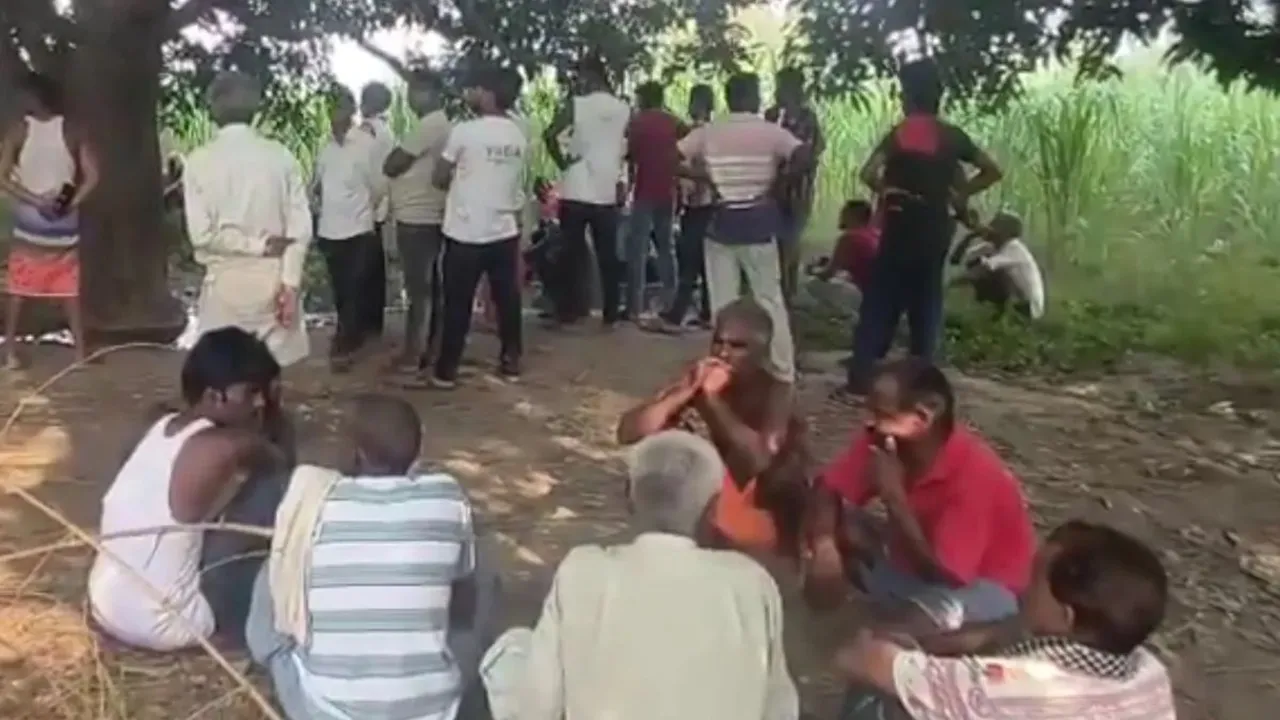 Sitapur News: 7 फेरे लेने के बाद पेड़ से फंदा लगाकर प्रेमी युगल ने दी जान, परिजनों में कोहराम