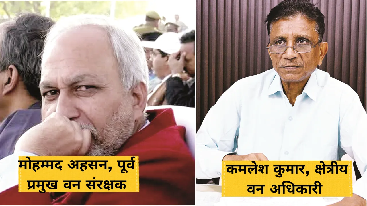 MUSKAN DIXIT (34)