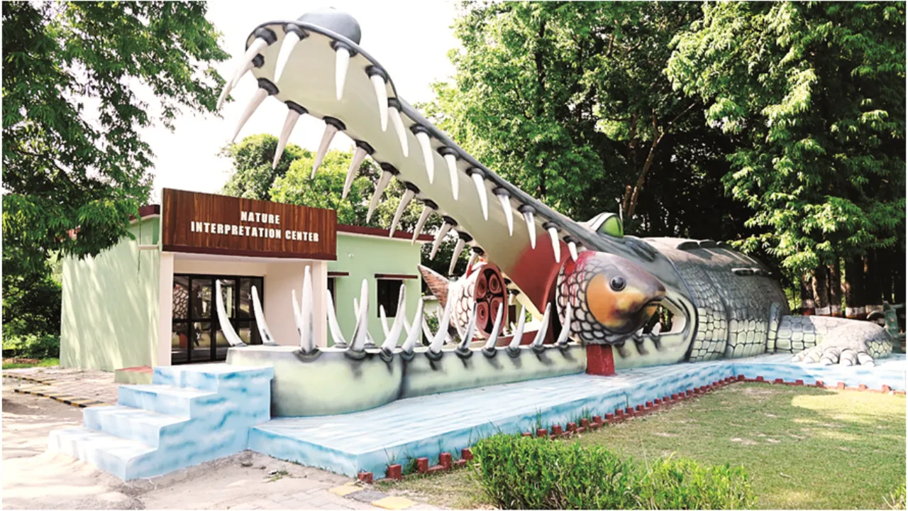 कुकरैल में बनेगी देश की पहली नाइट सफारीः 5000 एकड़ का 'ऑक्सीजन हब' ऐसे बना पर्यटकों का पसंदीदा ठिकाना 