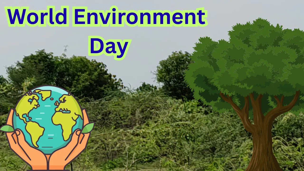 World Environment Day: कागजी दावे छोड़ उन्नाव के वन कर्मियों ने कर दिखाया कमाल... बंजर भूमि को 'सीडबॉल' तकनीक से बनाया 'ऑक्सीजन हब'