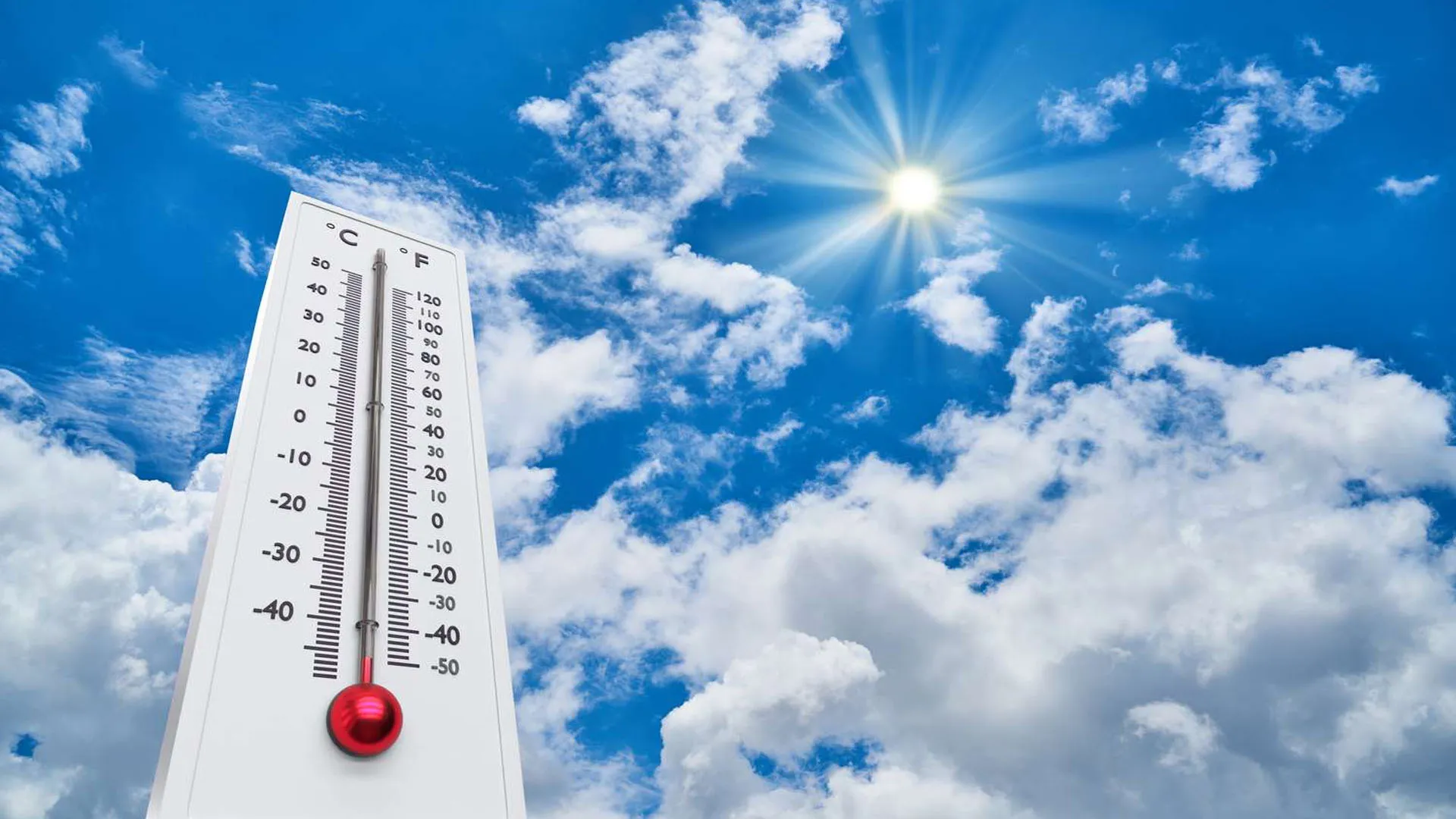 Moradabad News: बारिश के बाद मौसम हुआ साफ, चटख धूप में गर्मी से परेशान हुए लोग