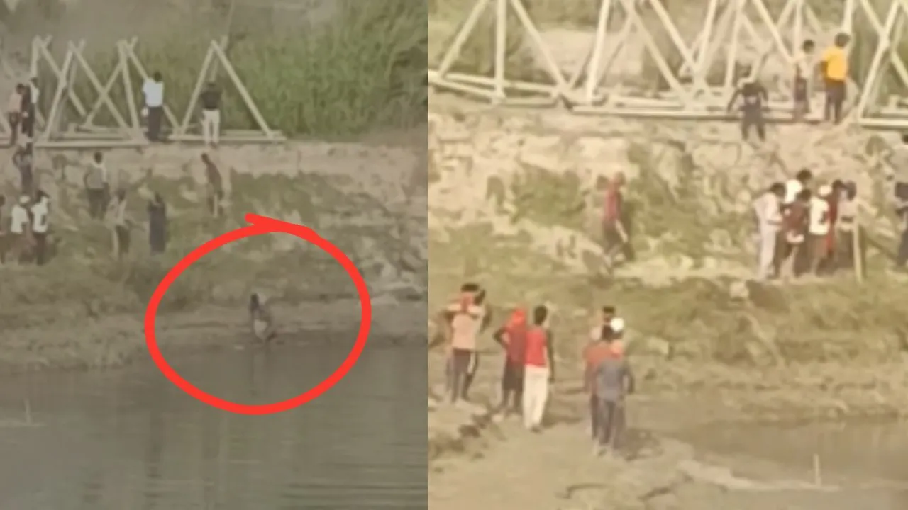 गोंडा में मगरमच्छ ने मजदूर को जबड़ों में दबोचा, साथी मजदूर की बहादुरी से बची जान