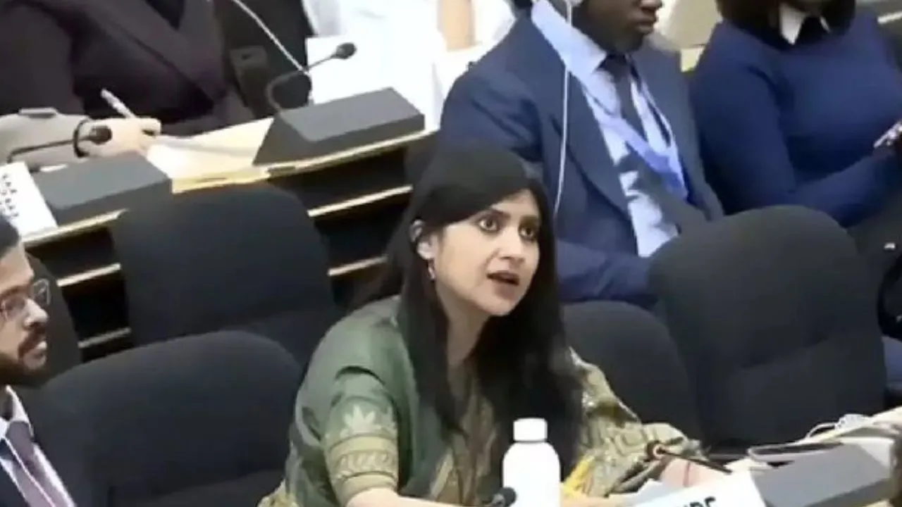 भस्मासुर है पाकिस्तान... UN में भारत का कड़ा प्रहार, कहा— जब अपना ही बनाया राक्षस डसता है, तो हैरान क्यों होते हो?