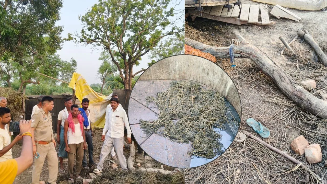  बाराबंकी में मेंथा टंकी फटने बड़ा हादसा:  एक ही परिवार के 5 लोग झुलसे; इलाज जारी 