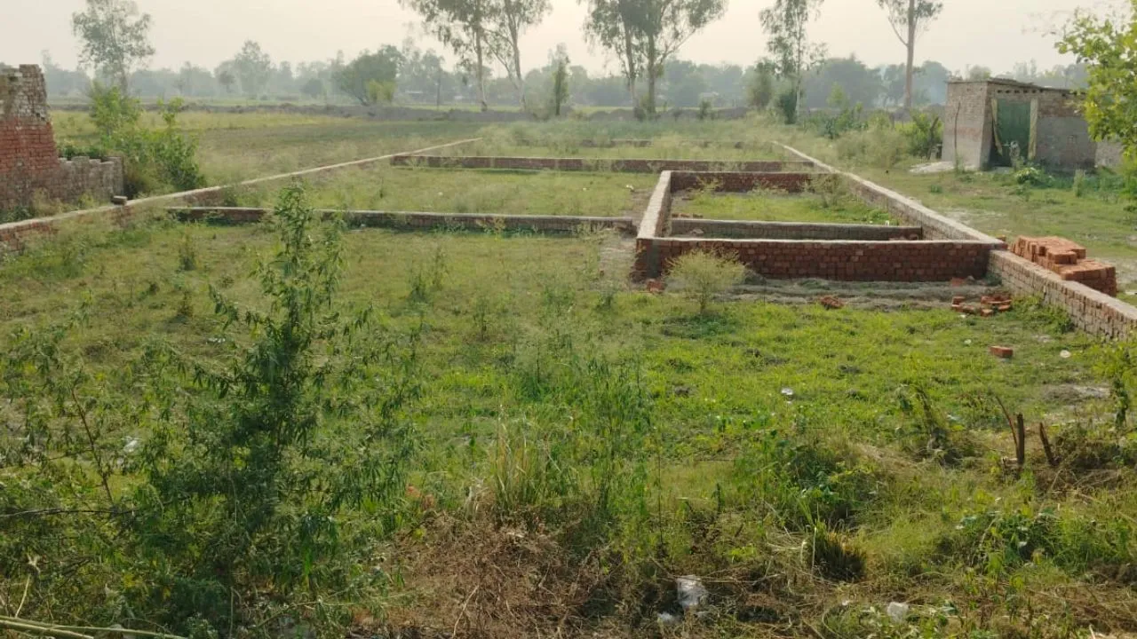 Barabanki News:  वन भूमि पर प्लाटिंग का खेल! देवा-फतेहपुर मार्ग पर नींव भरकर काटे जा रहे प्लॉट, वन विभाग बेखबर