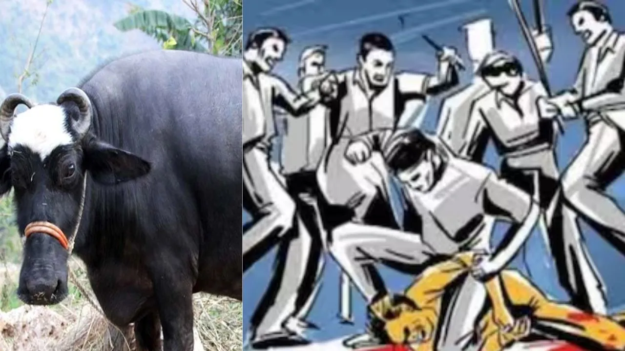  जौनपुर : भैंस बांधने को लेकर दो पक्षों में चले लाठी-डंडे, मारपीट में एक की मौत, चार आरोपी दबोचे