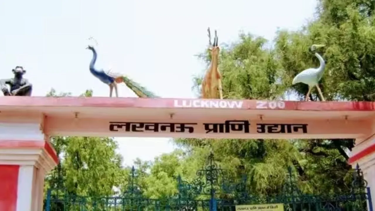 लखनऊ चिड़ियाघर में भीषण गर्मी से वन्यजीव बेहाल, प्रशासन के फीके पड़े इंतजाम