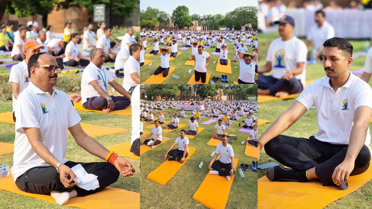  International Yoga Day पर लखनऊ रेजिडेंसी में भव्य आयोजन: डिप्टी सीएम ब्रजेश पाठक-डीएम विशाख समेत कई हस्तियों ने किया योग, पीएम मोदी का संबोधन भी सुना