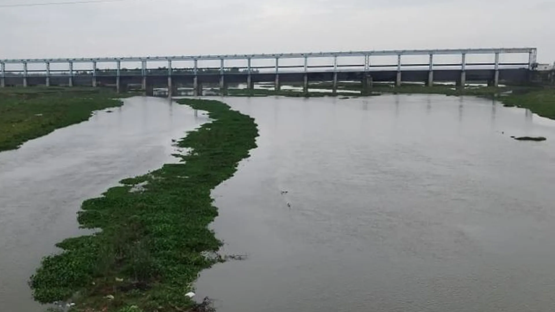 Bareilly News : बरेली मंडल में भारी बारिश से नदियां उफनाईं, बाढ़ अलर्ट जारी