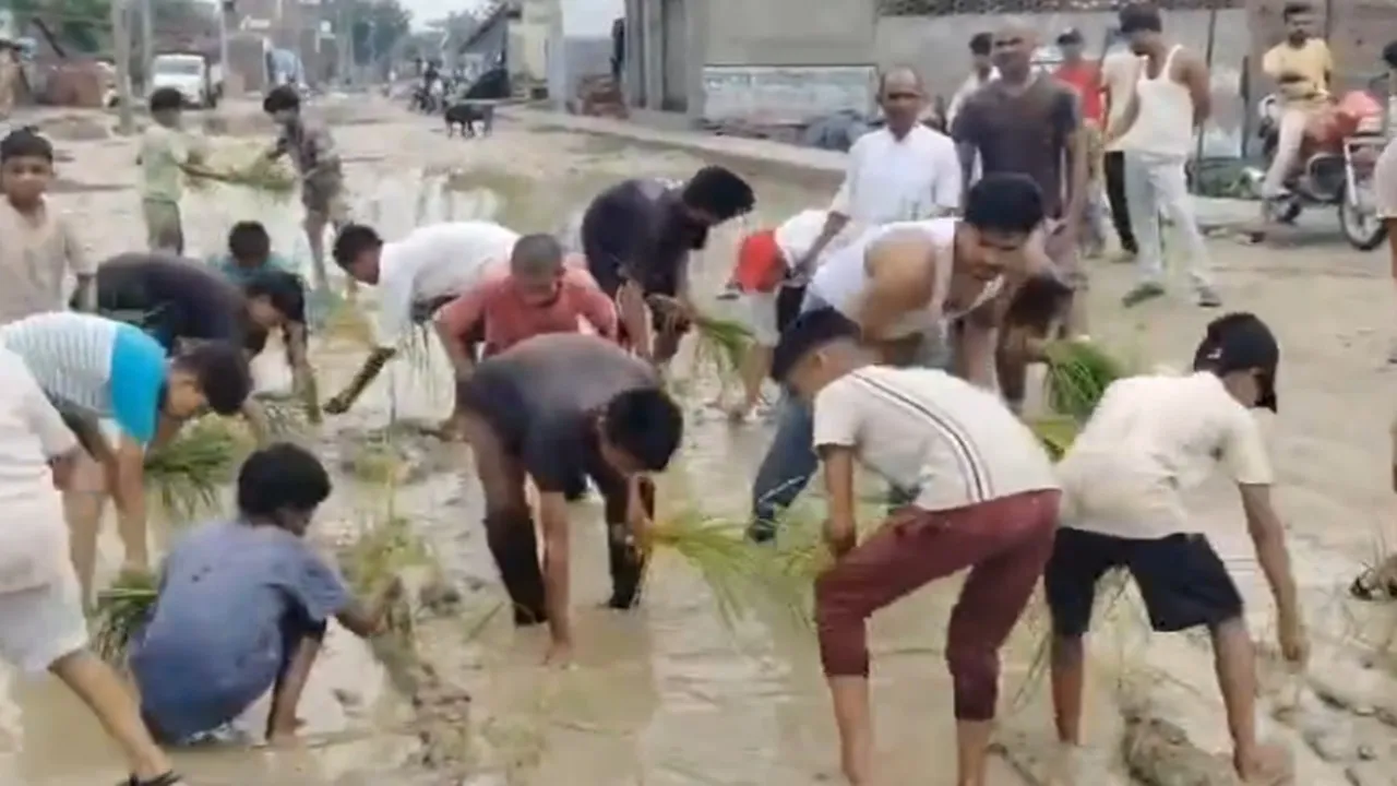 Sitapur News : जर्जर सड़क पर लोगों ने की धान की रोपाई, जलभराव के विरोध में अनोखा प्रदर्शन, देखें वीडियो
