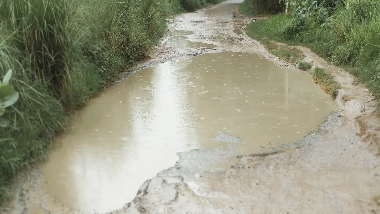 Pratapgarh News : गड्ढों में तब्दील हुआ संग्रामगढ़-बवलिया संपर्क मार्ग, जलभराव से बढ़ा हादसों का खतरा