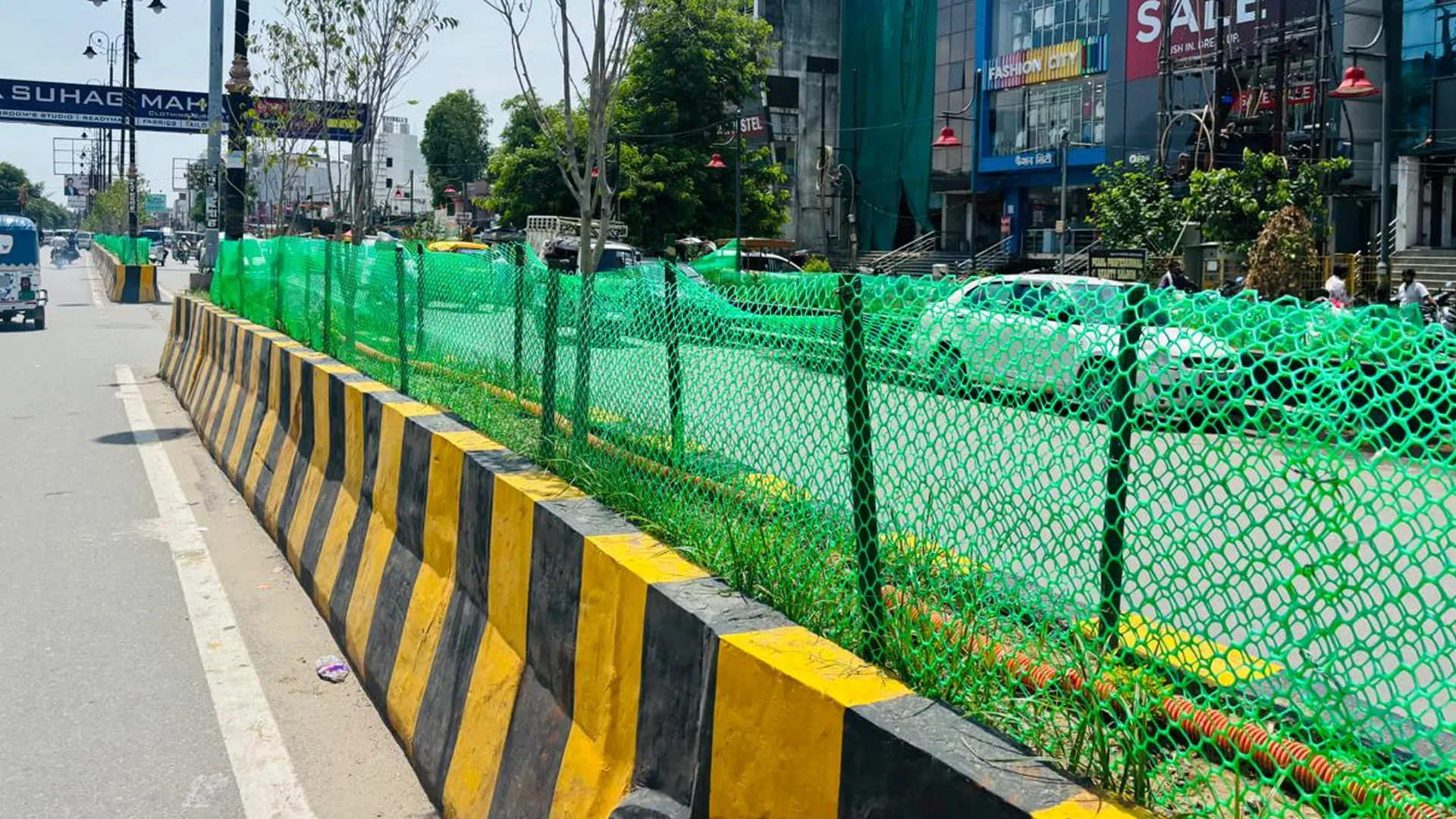 Bareilly News : बरेली नगर निगम की नई पहल, प्लास्टिक की हरी जालियों से सुरक्षित होंगे डिवाइडर के पौधे