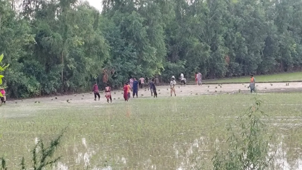 Barabanki Weather News : मेघों की बेरुखी से धान रोपाई पर संकट, उमस से बेहाल किसान और आमजन