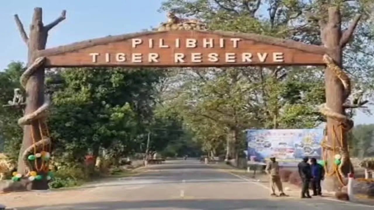 Pilibhit Tiger Reserve : अब सरकारी योजनाओं का लाभ भी दिलाएंगे 'बाघ मित्र', नई जिम्मेदारी के लिए मिलेगा विशेष प्रशिक्षण