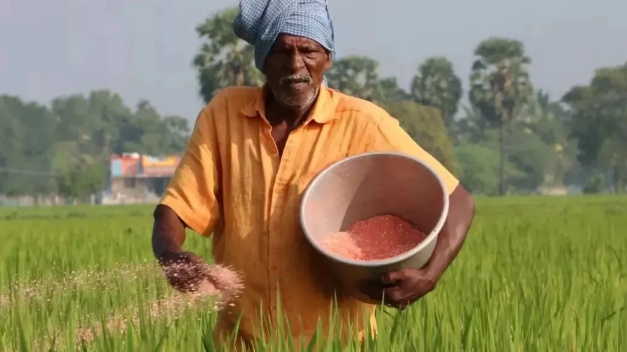 किसानों को खाद की कमी नहीं होगी,  योगी सरकार ने उपलब्धता पर कड़ी निगरानी के दिए निर्देश