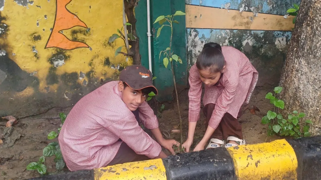 'एक पेड़ मां के नाम' अभियान को मिली रफ्तार, मुरादाबाद से लखनऊ तक लगाए गए हजारों पौधे, पर्यावरण संरक्षण का लिया संकल्प