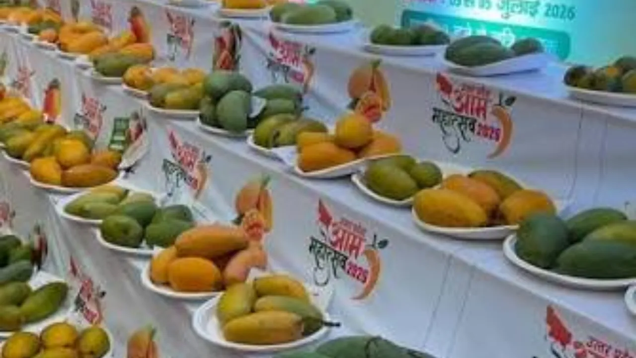 मलिहाबादी दशहरी का दुनियाभर में जलवा: GI टैग से मिली अलग पहचान, स्वाद और मिठास ने बढ़ाई वैश्विक मांग