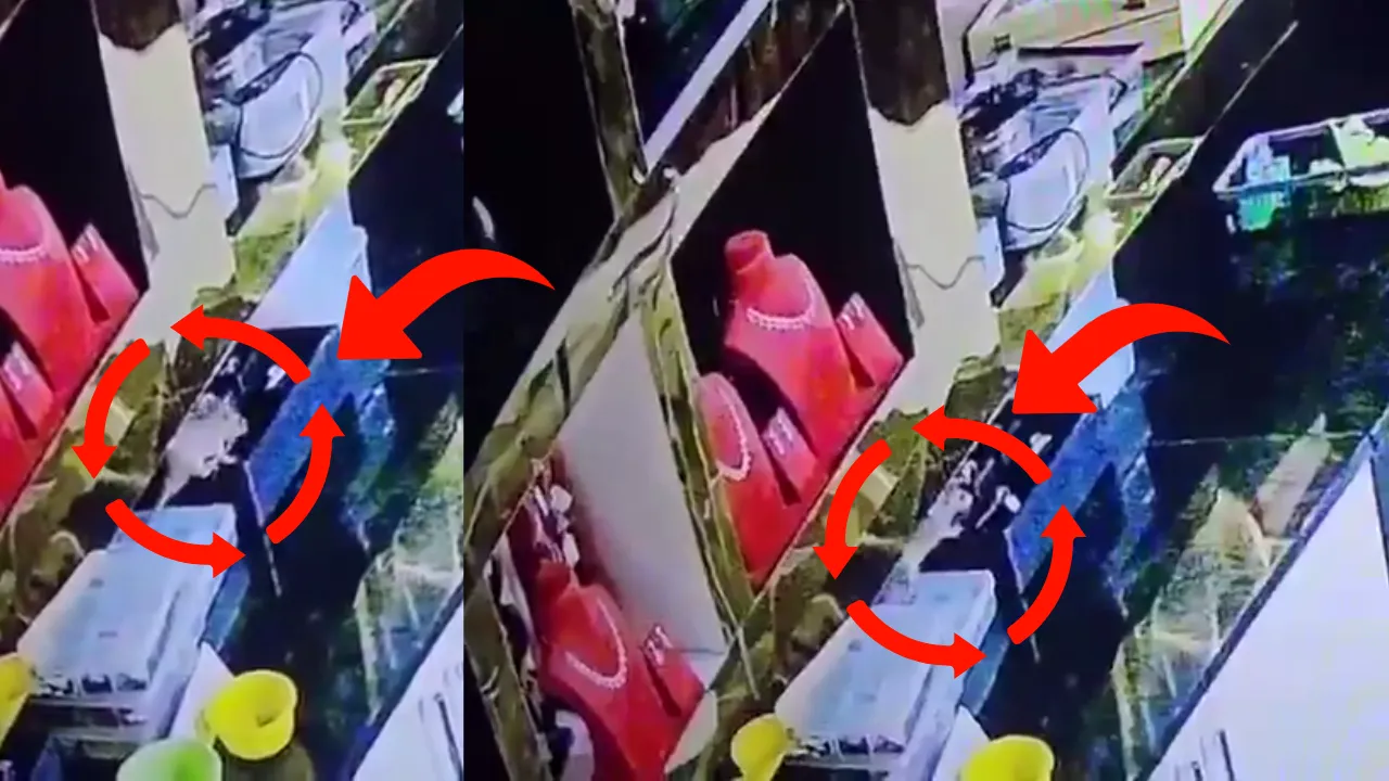 rat-steals-10-lakh-jewellery-tumakuru (1) 