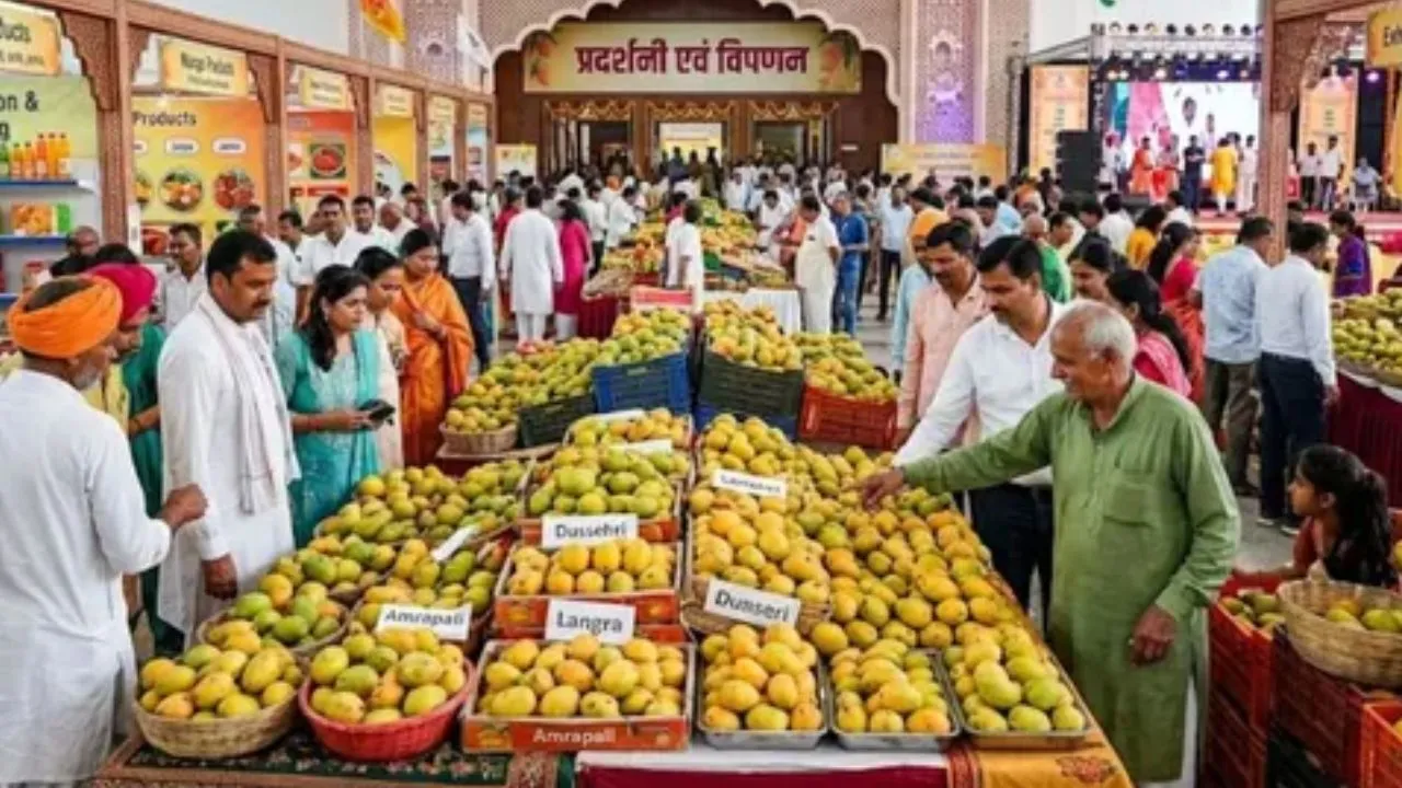 Mango Festival :  800 से ज्यादा किस्मों का लगेगा मेला, IGP में सीएम योगी करेंगे उद्घाटन  