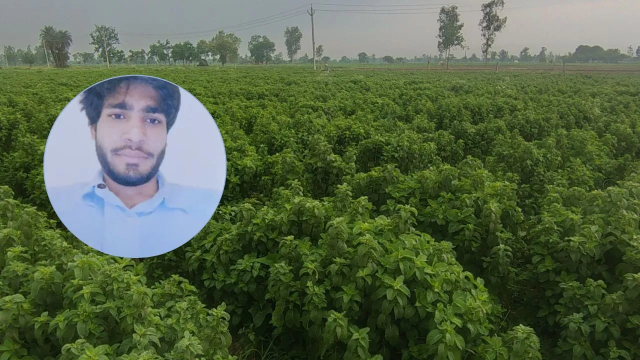 बिलाड़ी के जंगल में पेड़ से लटका मिला अस्पताल कर्मी का शव, गुरुवार से लापता था युवक