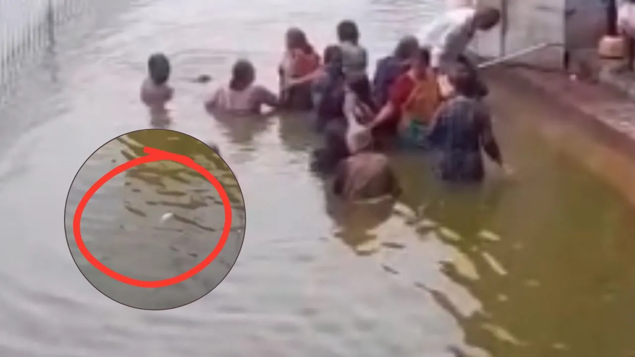 Sitapur News: दधीचि कुंड में जल निकासी ठप, हजारों मरीं मछलियों के बीच डुबकी लगाने को मजबूर श्रद्धालु