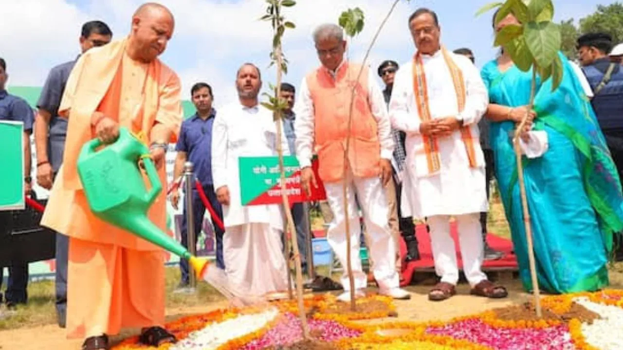  यूपी में बनेगा नया रिकॉर्ड,  एक पेड़ मां के नाम अभियान से सीएम योगी का लक्ष्य- लगेंगे 35 करोड़ पौधे
