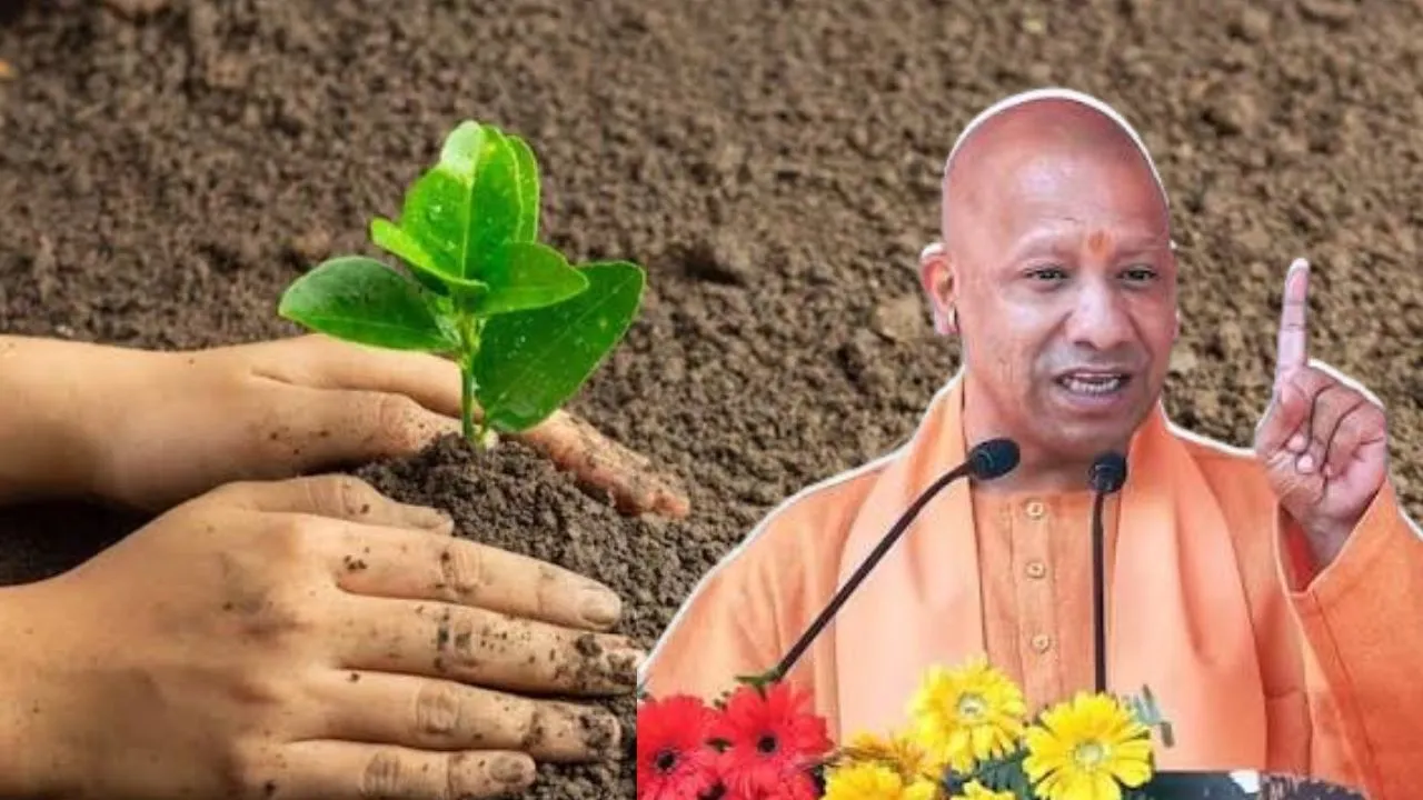 UP Green Mission:  35 करोड़ पौधों का महाअभियान, सीएम योगी खुद करेंगें मॉनिटरिंग 