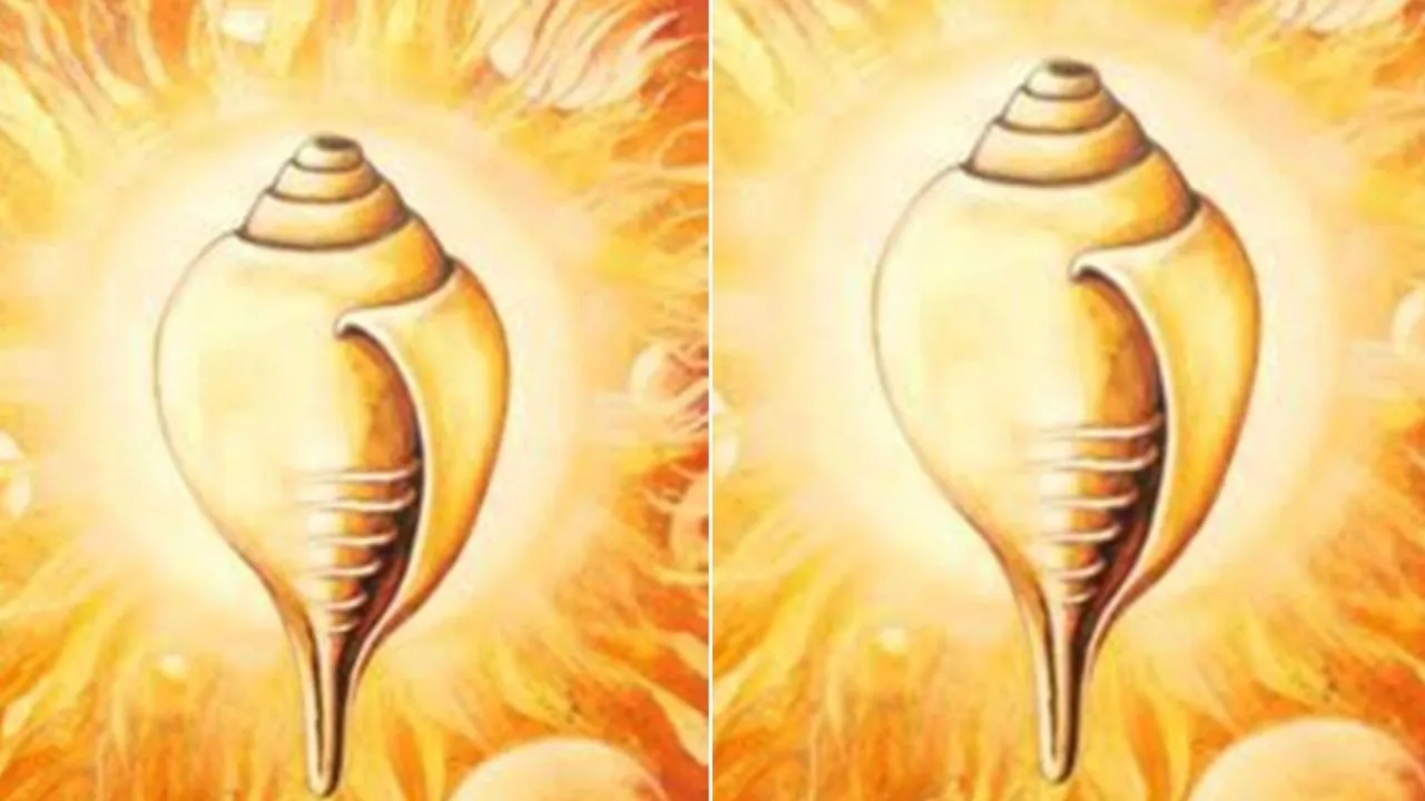संस्कृति और आस्था का प्रतीक शंख