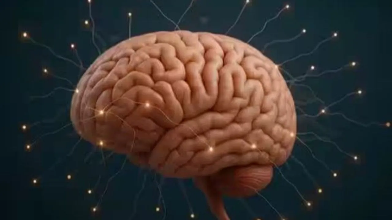 वैज्ञानिक फेक्ट :  हमारा मस्तिष्क हर सेकंड 11 मिलियन बिट्स दर्ज करता है जानकारी 