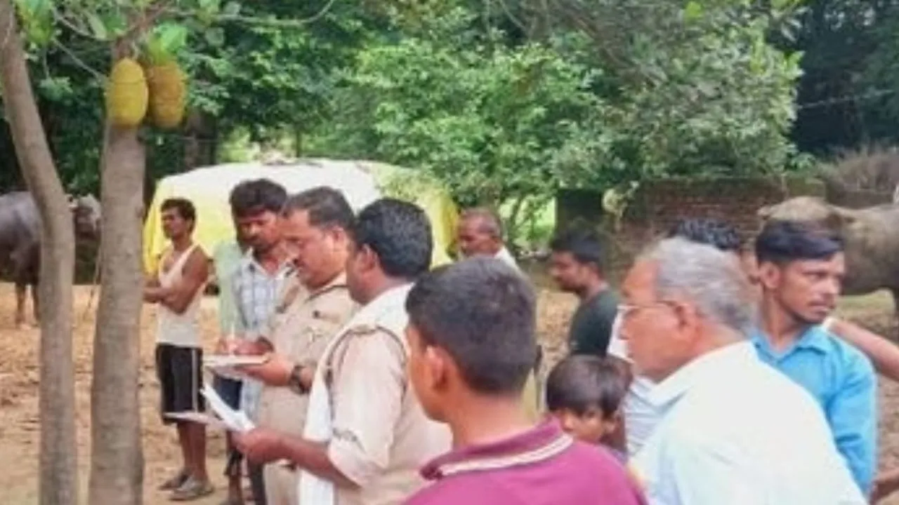 Sultanpur News: कटहल के पेड़ से लटका मिला 80 वर्षीय बुजुर्ग का शव, जांच में जुटी पुलिस 