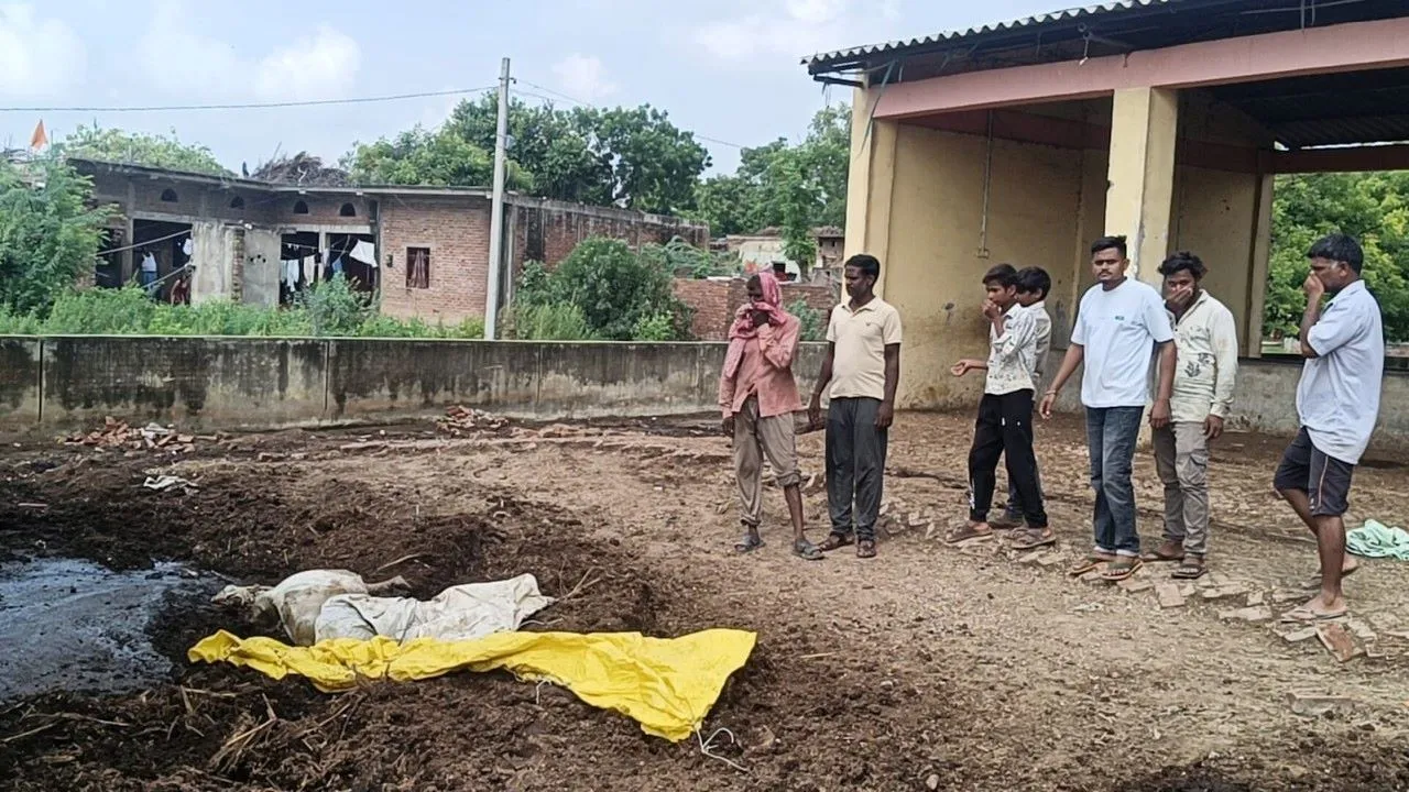 उन्नाव की गौशाला में 12 गोवंश की मौत, घोर लापरवाही आई सामने