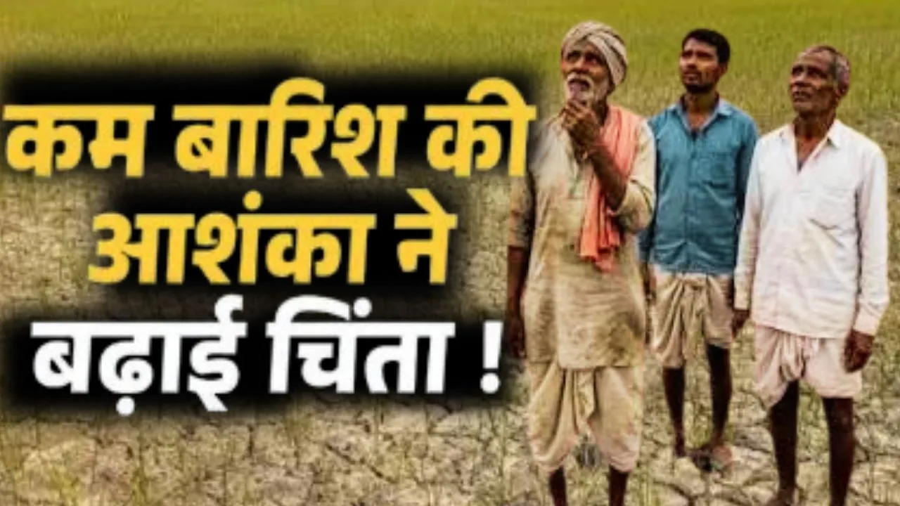 Prayagraj News:  मानसून की बेरुखी के चलते संकट में धान की रोपाई, सूखे खेतों और महंगी सिंचाई ने बढ़ाई किसानों की चिंता