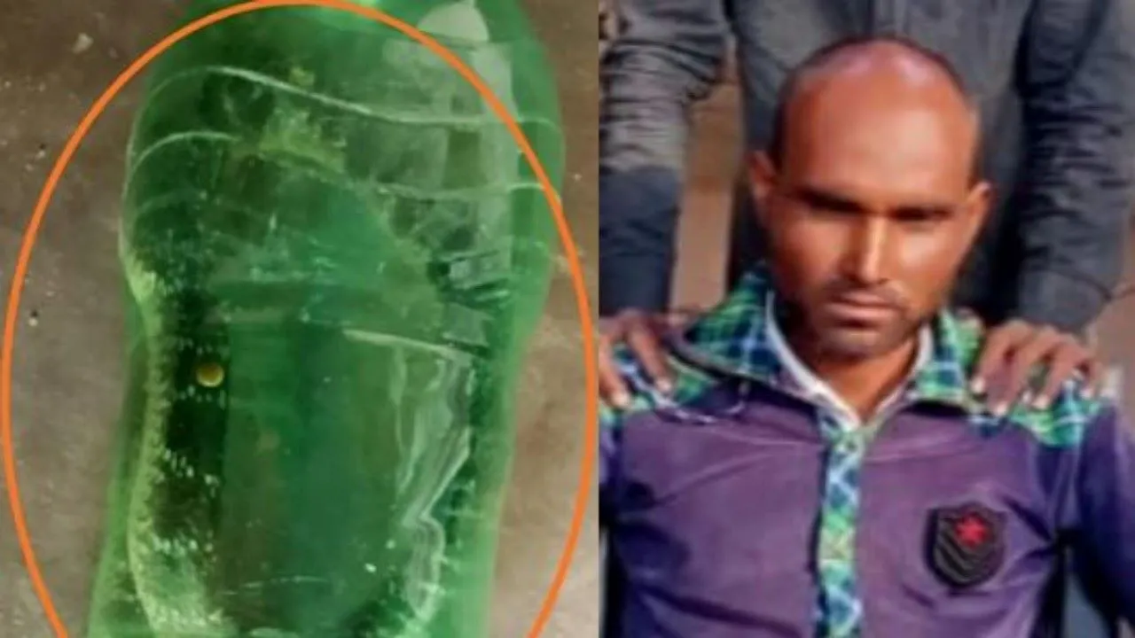  मेडिकल कॉलेज पहुंचा जहरीला सांप, इमरजेंसी वार्ड में अफरा-तफरी, युवक की मौत