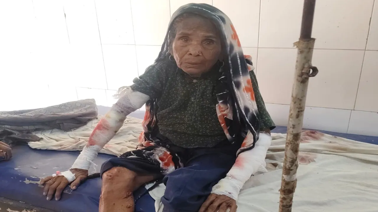 Bahraich News : घर में घुसा तेंदुआ, बुजुर्ग महिला पर किया हमला; ग्रामीणों में दहशत