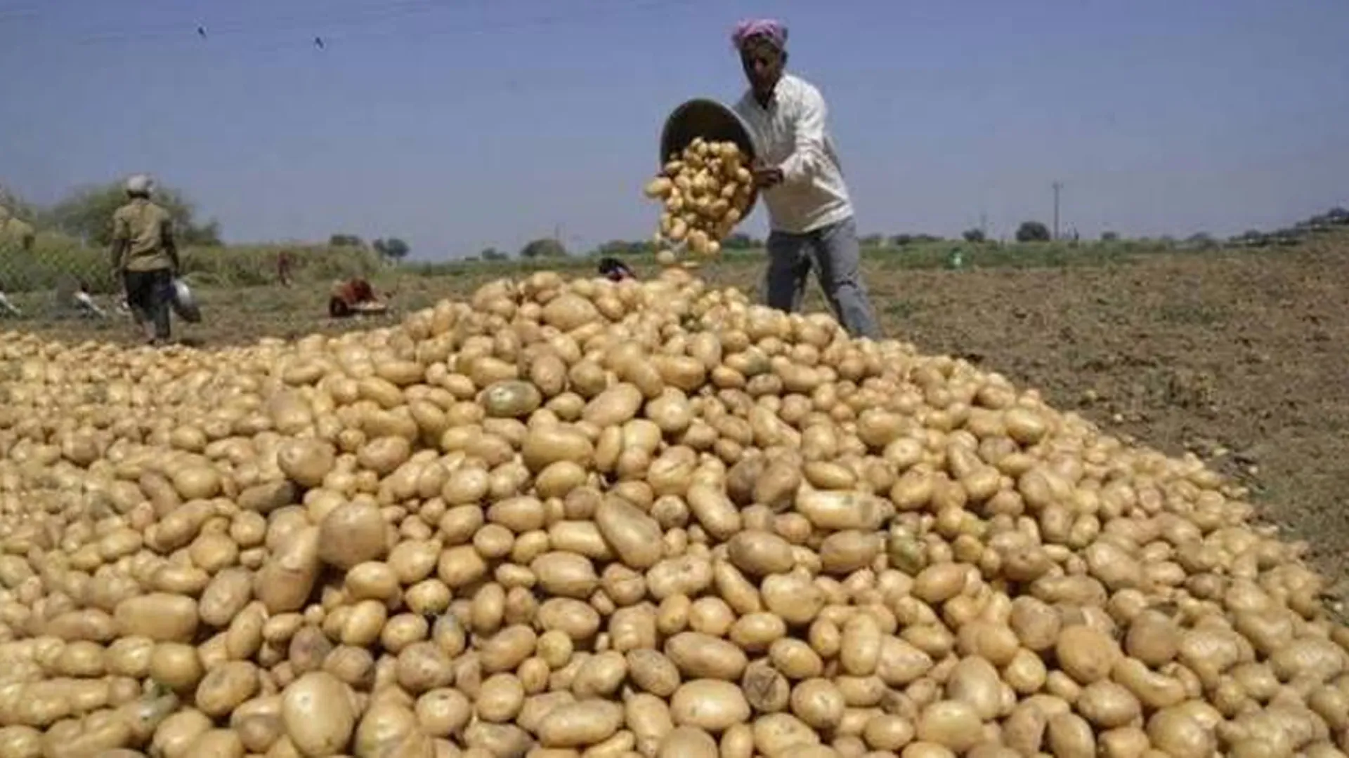 Sambhal News : आलू के दाम गिरे तो नहीं डूबेगी किसानों की कमाई, सरकार देगी राहत 