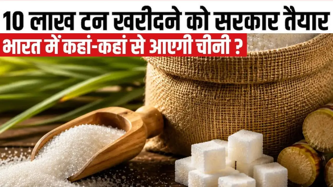  India Sugar Import: 10 साल में पहली बार विदेश से चीनी खरीदेगा भारत, जानिए क्या है वजह 