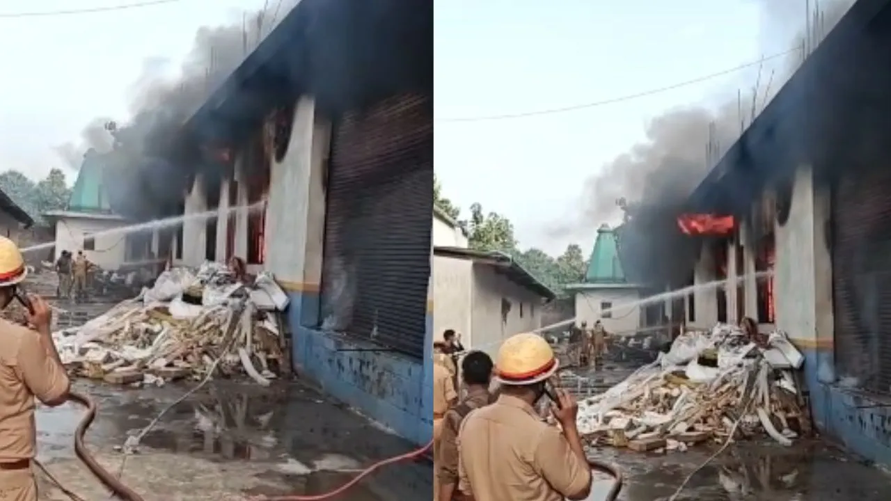 Kanpur News:  सचेंडी में गद्दा फैक्ट्री में भीषण आग, धुएं का गुबार देख मचा हड़कंप