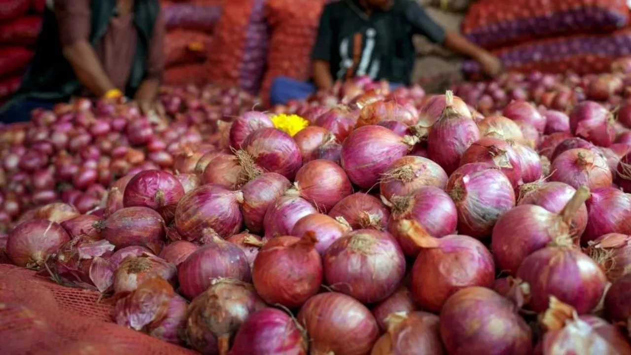 Onion price rise:  35 रुपये किलो मिलेगी प्याज, त्योहारों पर सस्ती दरों पर बिक्री करेगी केंद्र 