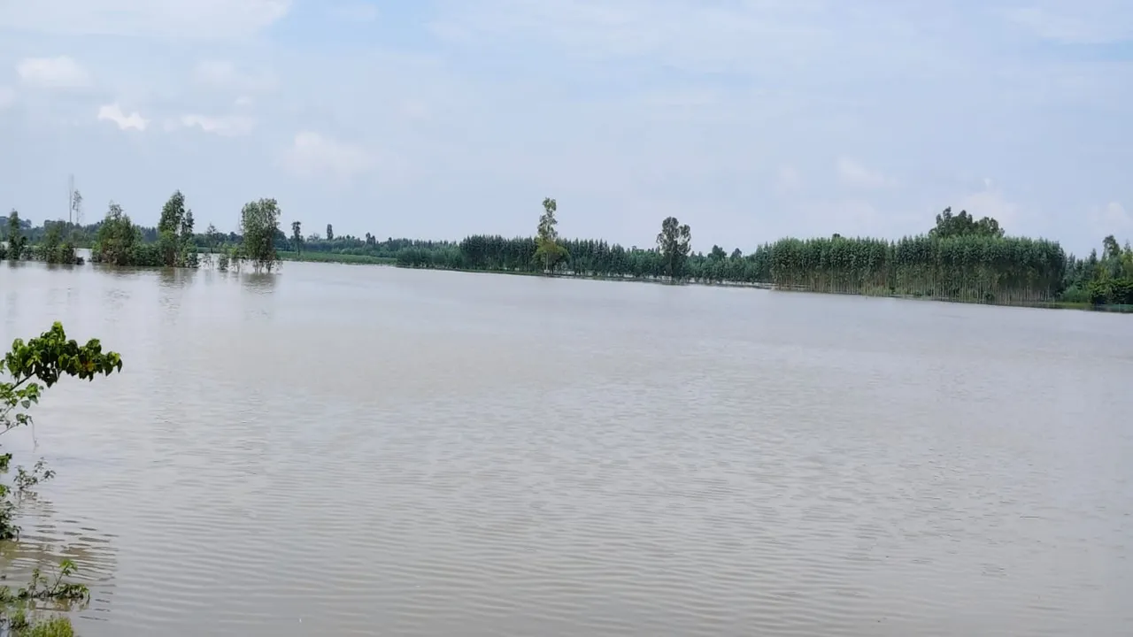 barabnki BADH