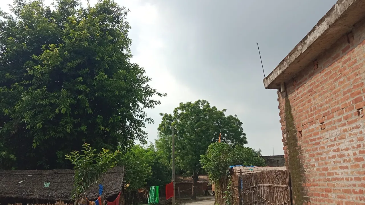Barabanki Flood News : बाढ़ में घिरा गांव, रात में घुप्प अंधेरा और जान का खतरा... 12 साल से बिजली का इंतजार