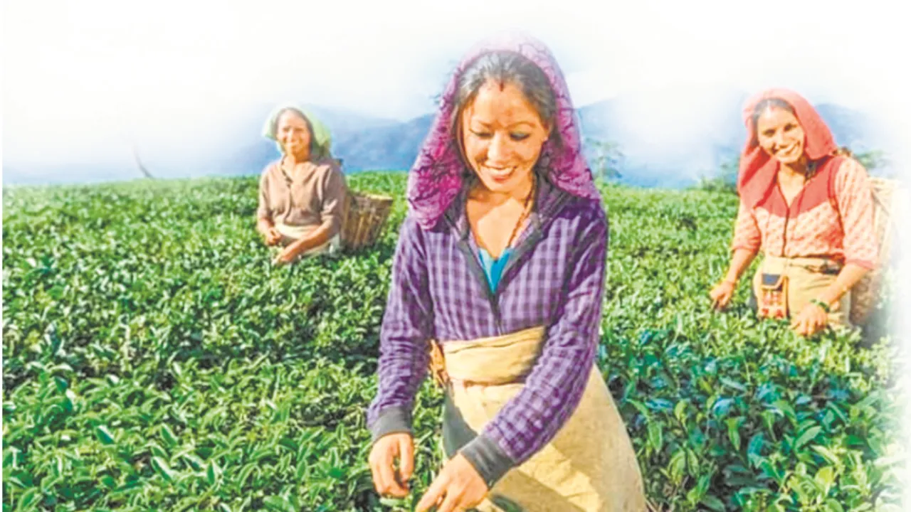 Darjeeling Tourism