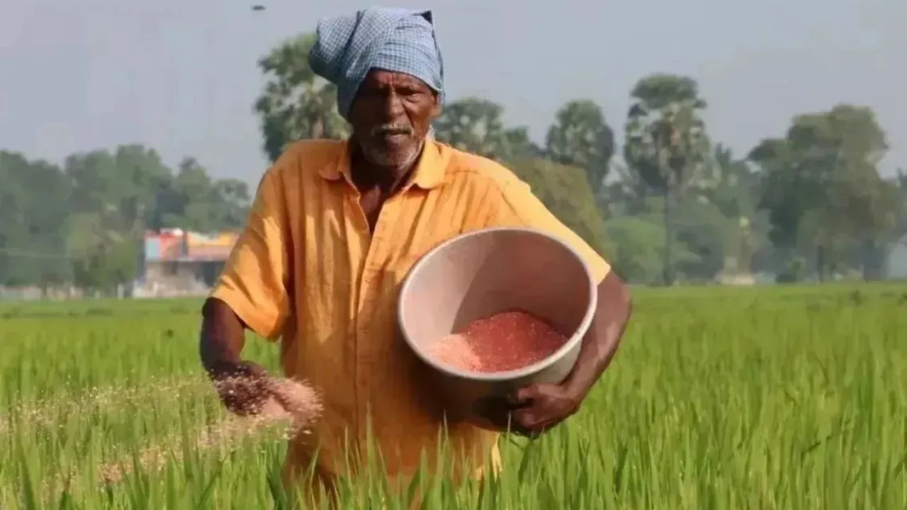 Bareilly News :  नैनो नहीं, पारंपरिक खाद पर किसानों का भरोसा, रुहेलखंड विश्वविद्यालय के शोध में सामने आई वजह