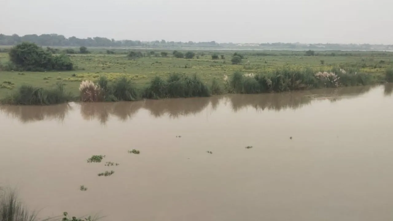 RaeBareli news :  उफान पर गंगा, खतरे से 21 सेंमी ऊपर जलस्तर; धान की फसलें जलमग्न