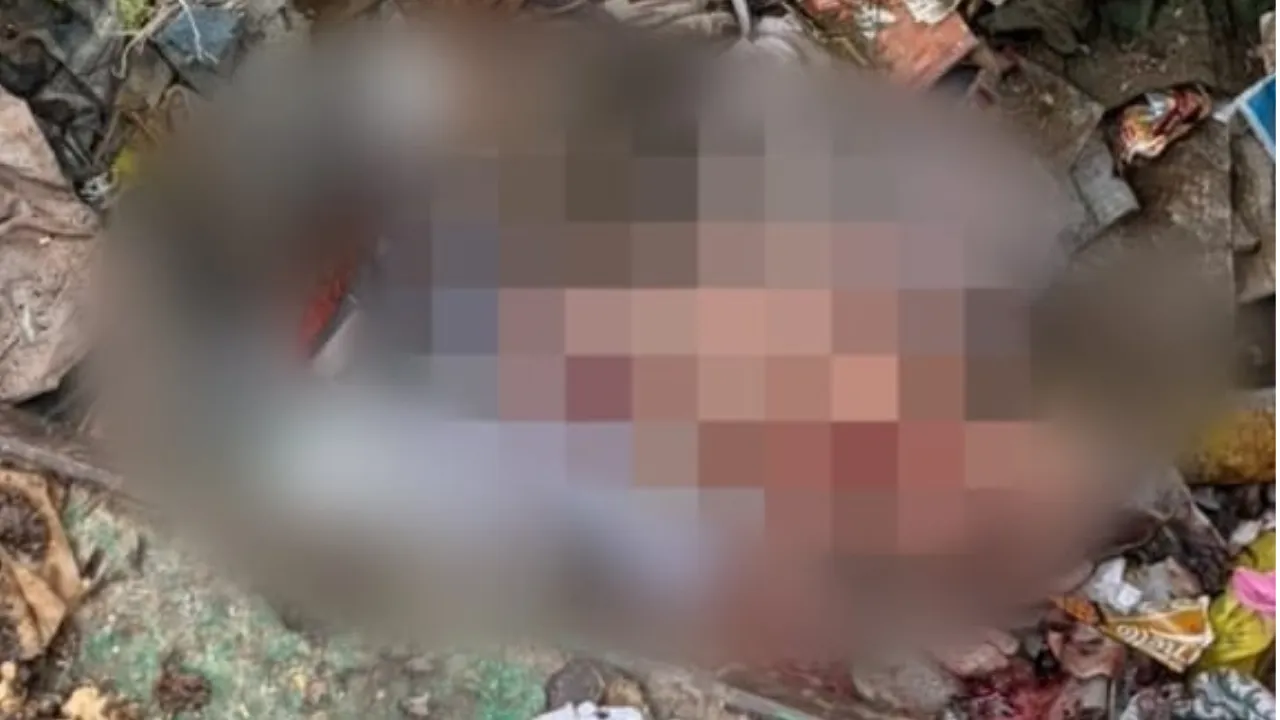 Kanpur News: डस्टबिन में मिला नवजात का शव, इलाके में हड़कंप; CCTV से सुराग तलाश रही पुलिस