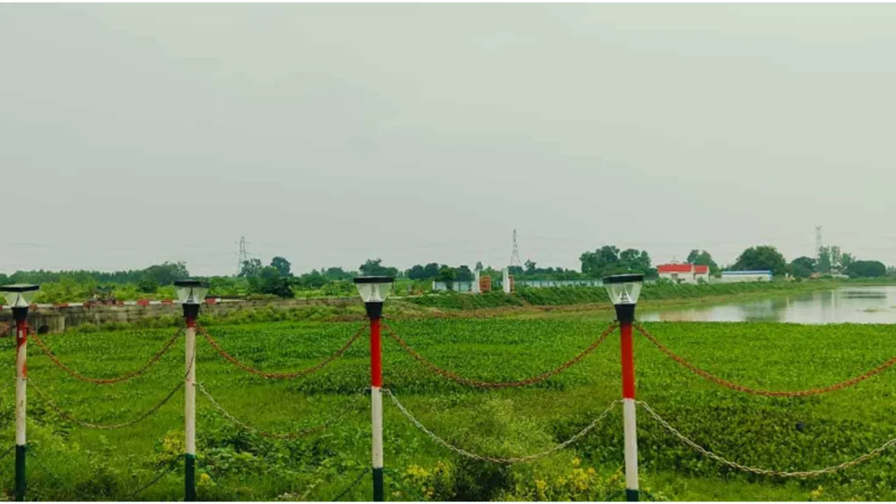 Leelaur Lake, Bareilly (1)