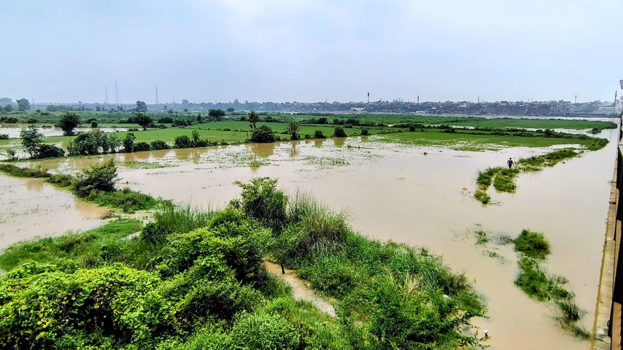 Moradabad Flood News: कोसी और व खो नदी में अतिरिक्त पानी छोड़े जाने से बढ़ा रामगंगा का जलस्तर, तटीय इलाकों में दहशत