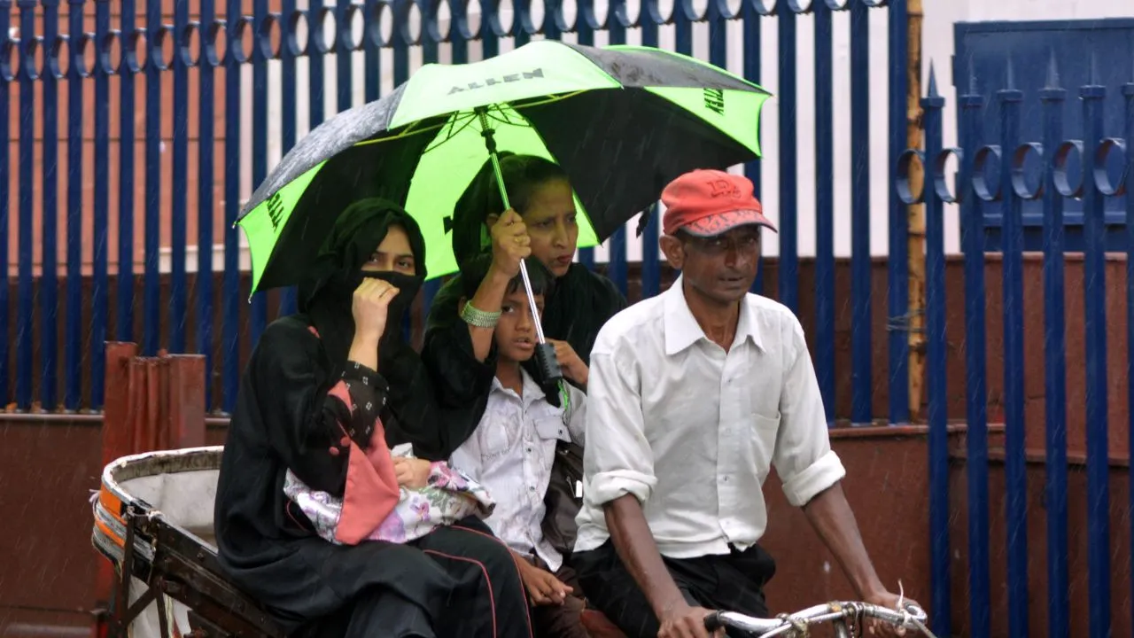 rain alert  (1)