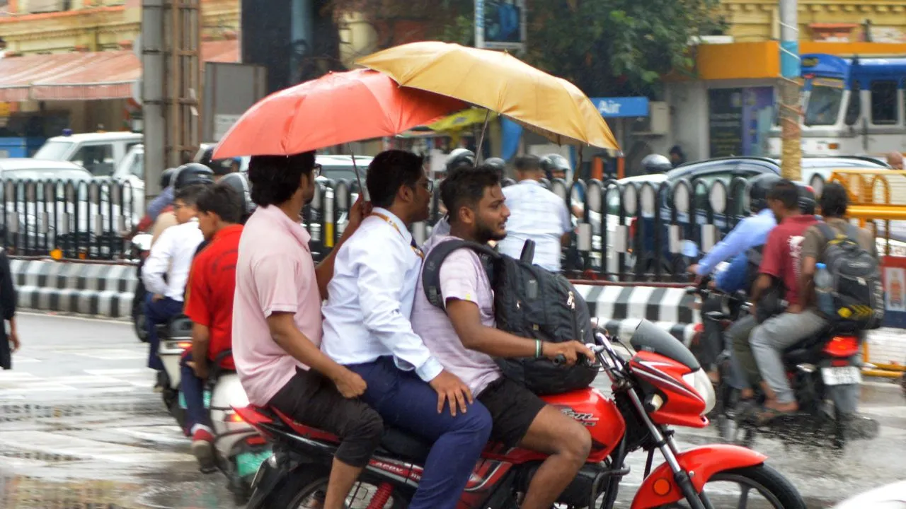 rain alert  (2)