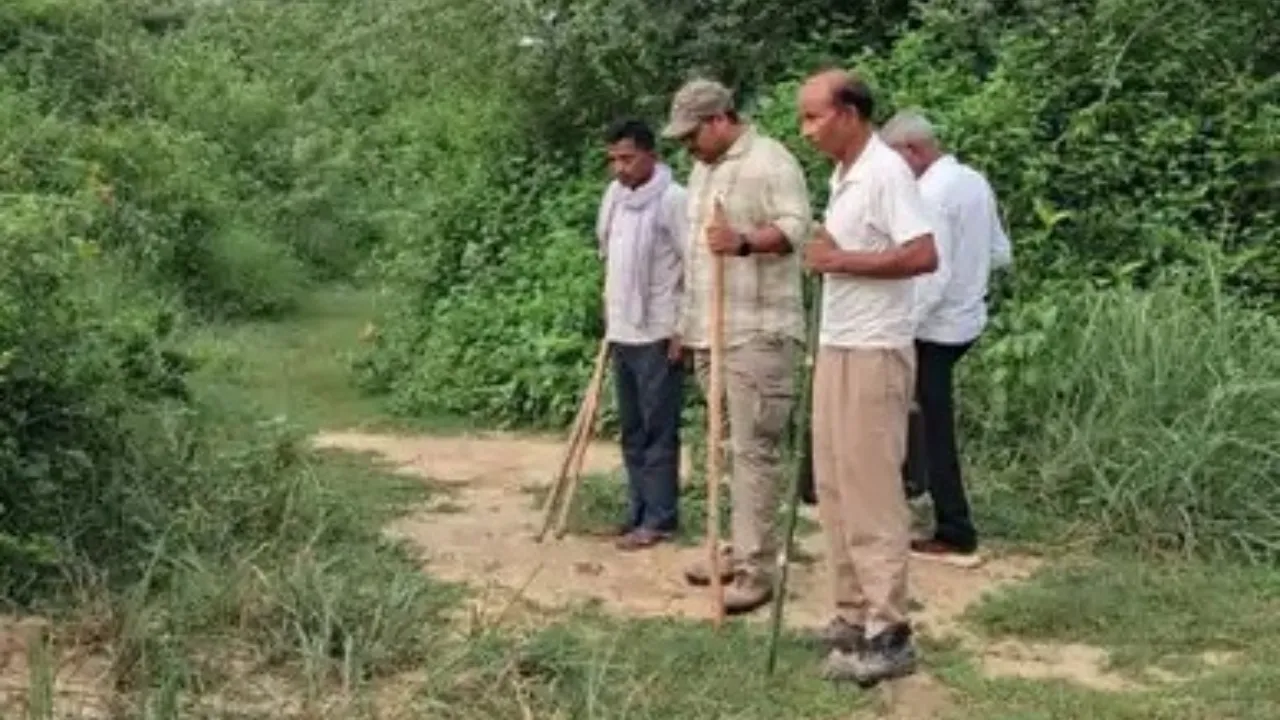 सीतापुर में वन विभाग को फिर चकमा दे गई बाघिन, पड़वे का किया शिकार; 40 दिन से जारी तलाश